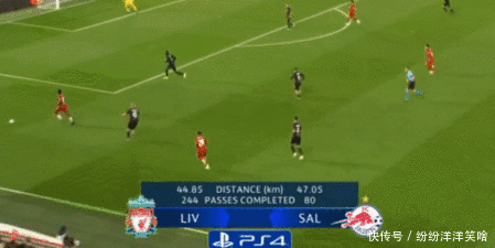 葡萄牙队官方：佩德罗-内托和贡萨尔维斯退出本期大名单