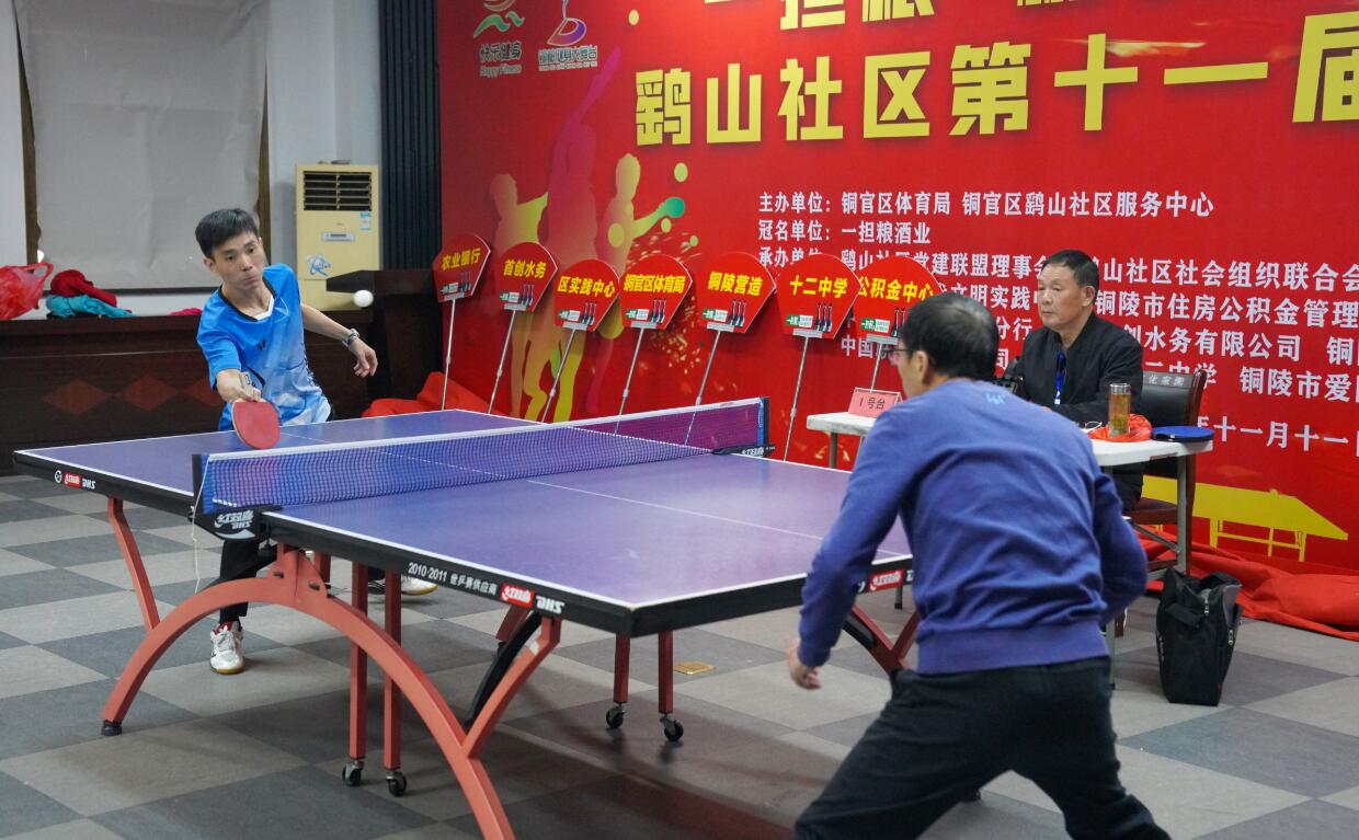 新的生机 新的生机